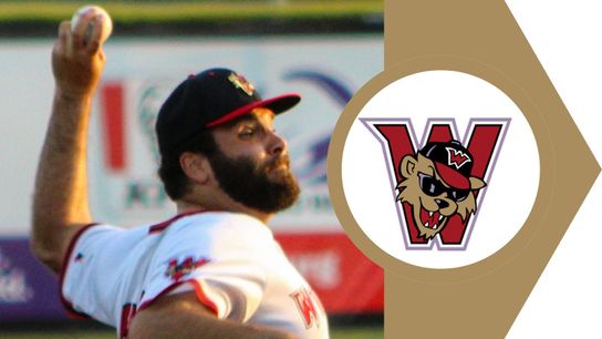 Comeback attempt falls short in series opener taken in Evansville, Ind. (Wild Things)