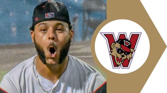 Former All-Star Foster set to return taken in Washington, Pa. (Wild Things)